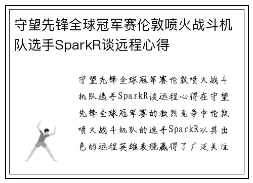 守望先锋全球冠军赛伦敦喷火战斗机队选手SparkR谈远程心得